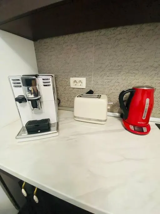 Apartament In Herastrau Self Check-In 부쿠레슈티